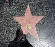 2014 LA CA WalkofFame 037